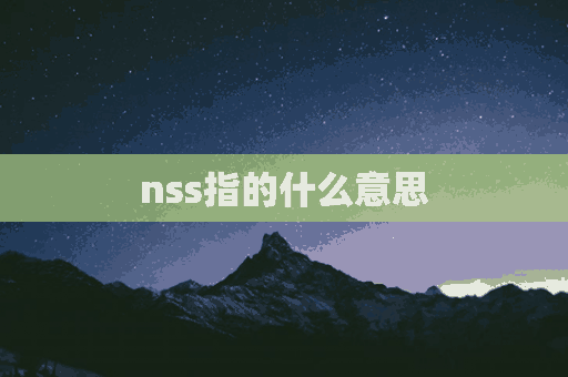 nss指的什么意思(nss是什么意思?)